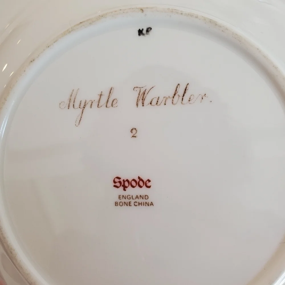 Spode Bone China Myrtle Warbler Plate/Bowl - Picture 4 of 4